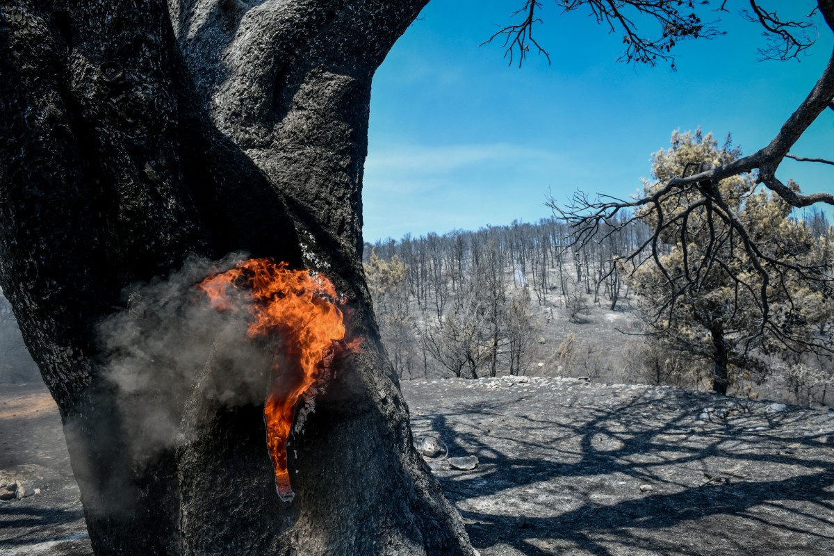 Πολύ υψηλός κίνδυνος πυρκαγιάς αύριο σε Στερεά Ελλάδα, Αττική και Πελοπόννησο