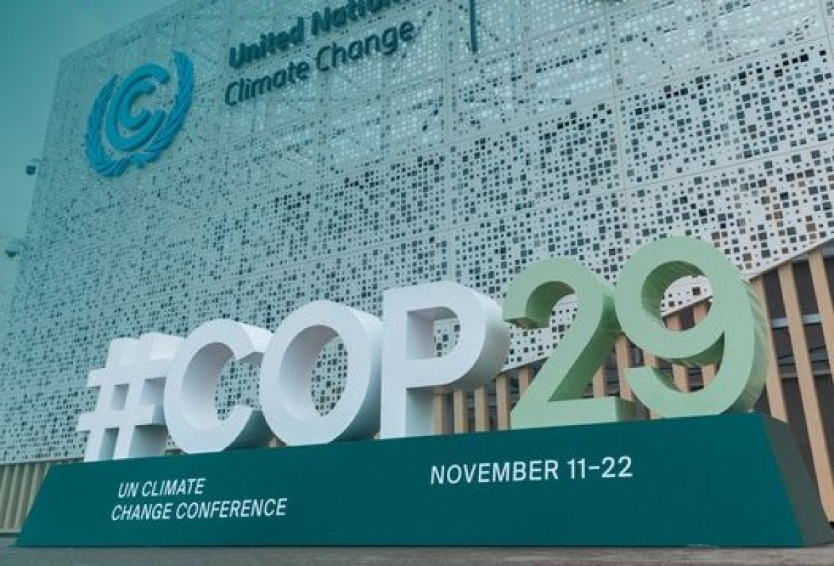 Greenpeace για COP29: Αυτό δεν ήταν συμφωνία, ήταν παρωδία