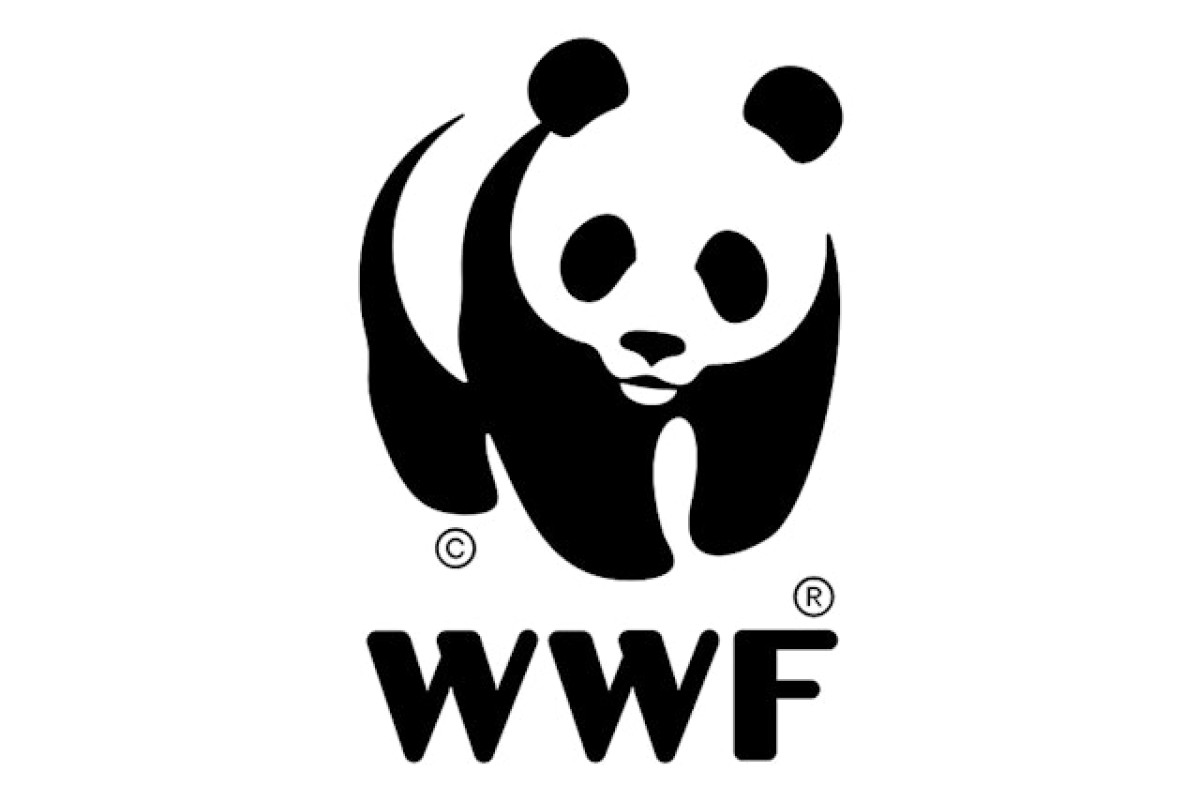 WWF: Δραματική μείωση 73% των πληθυσμών άγριας ζωής σε μόλις 50 χρόνια