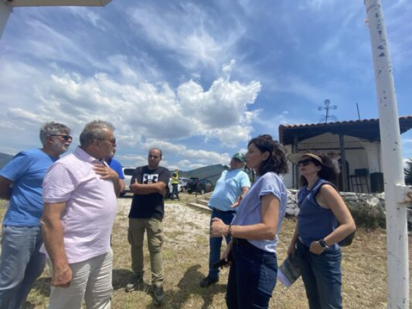 Μία από τις μεγαλύτερες αναδασώσεις πανελλαδικά θα γίνει στο δήμο Θέρμης