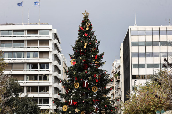 Η κλιματική αλλαγή «απειλεί» και τα έλατα των Χριστουγέννων