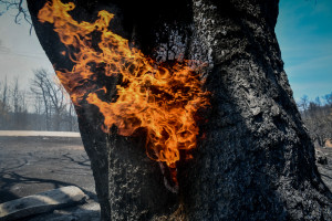 Αυξημένη επικινδυνότητα για δασικές πυρκαγιές από σήμερα μέχρι και την Παρασκευή
