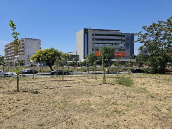 Νέο πνεύμονα πρασίνου στη δυτική είσοδο της πόλης δημιούργησε ο Δήμος Θεσσαλονίκης