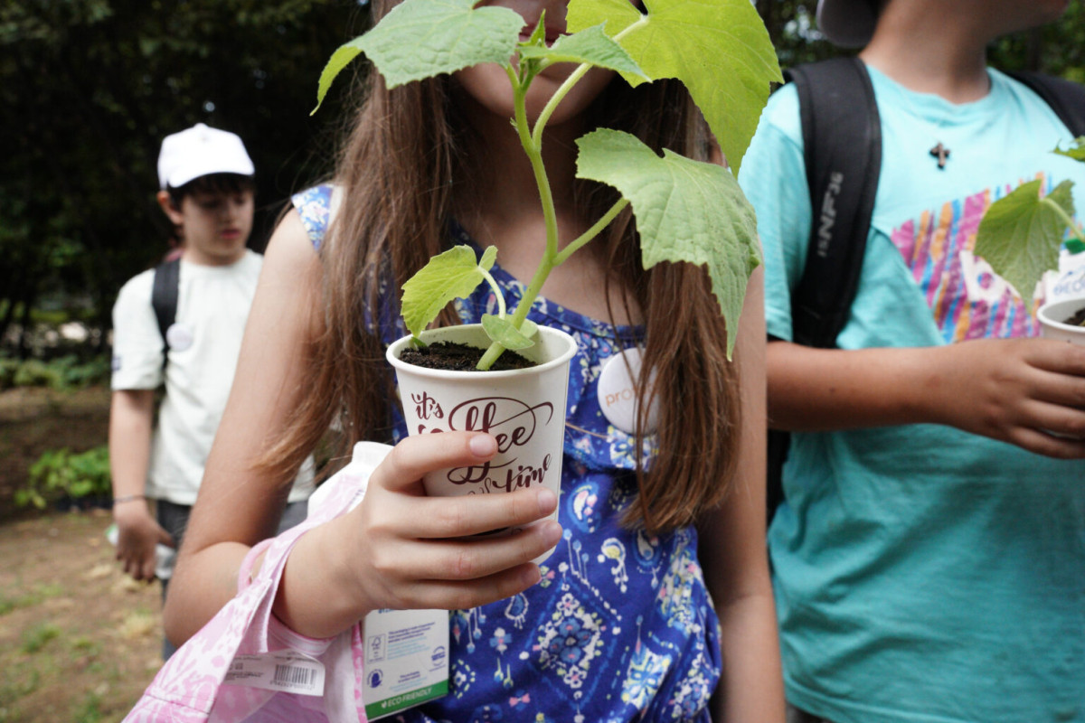 Ο Δήμος Αθηναίων γιόρτασε την Παγκόσμια Ημέρα Περιβάλλοντος με μία σειρά δράσεων σε όλη την πόλη