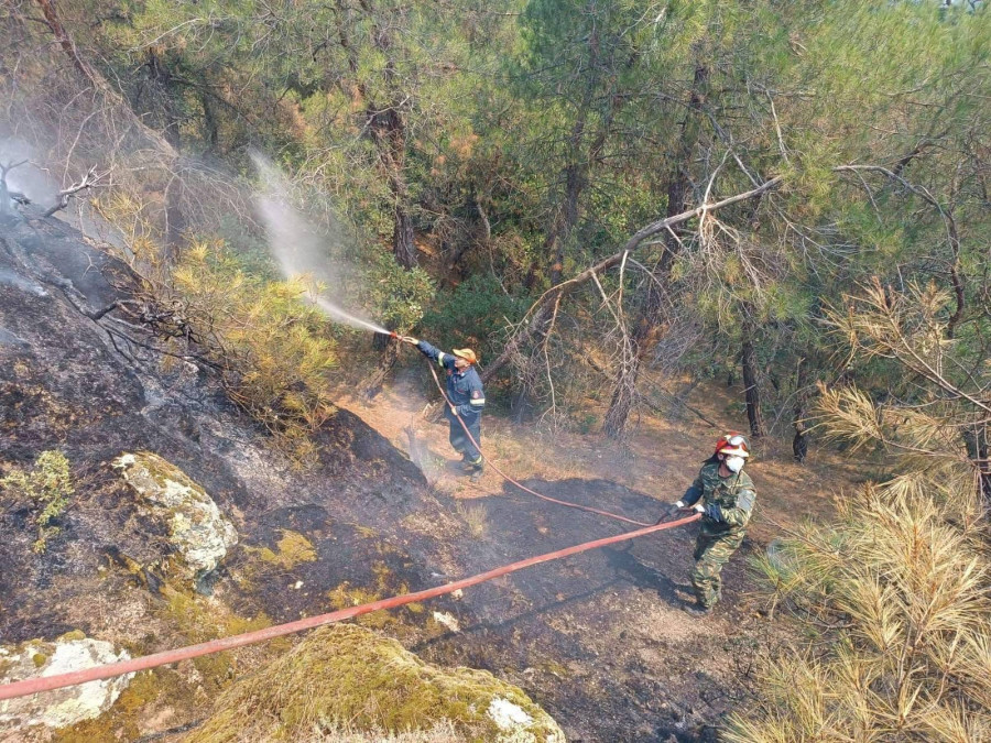 WWF: Πρόταση για τον σχεδιασμό πρόληψης δασικών πυρκαγιών σε τοπικό επίπεδο
