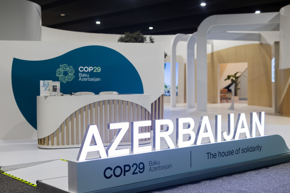 Greenpeace για COP29: Οι ηγέτες πρέπει να αδράξουν τη στιγμή για τη χρηματοδότηση της κλιματικής δράσης