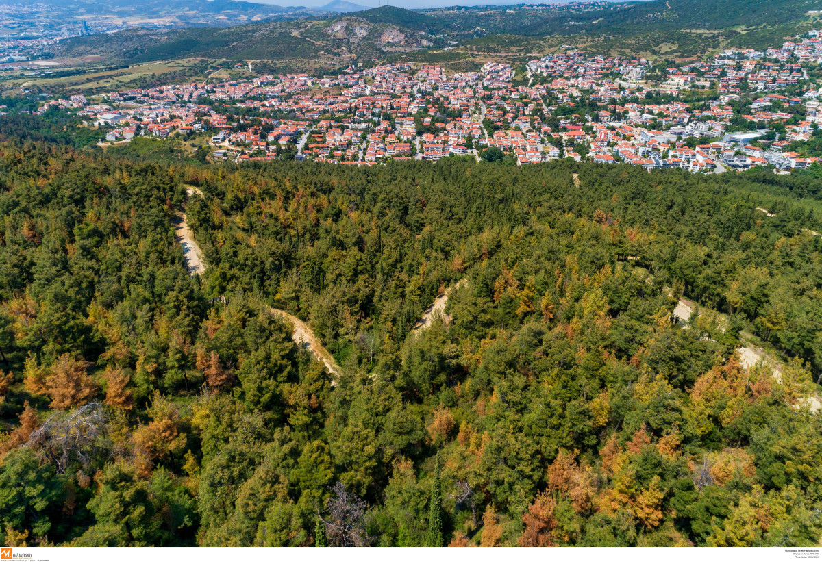 Απαγόρευση κυκλοφορίας σήμερα και αύριο στο Περιαστικό Δάσος Θεσσαλονίκης