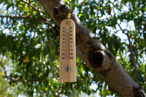 Κλιματική Αλλαγή: 14.000 θάνατοι στη Γερμανία και 4.500 στην Ισπανία συνδέονται με τις υψηλές θερμοκρασίες