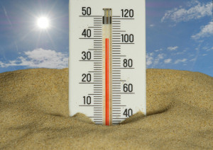 Αυστραλία: Κύμα καύσωνα με θερμοκρασίες ρεκόρ τροφοδοτεί πυρκαγιές